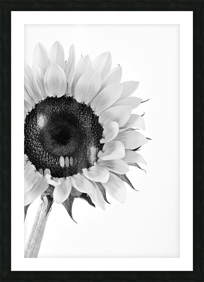 Hello Sunshine 2 Picture Frame print