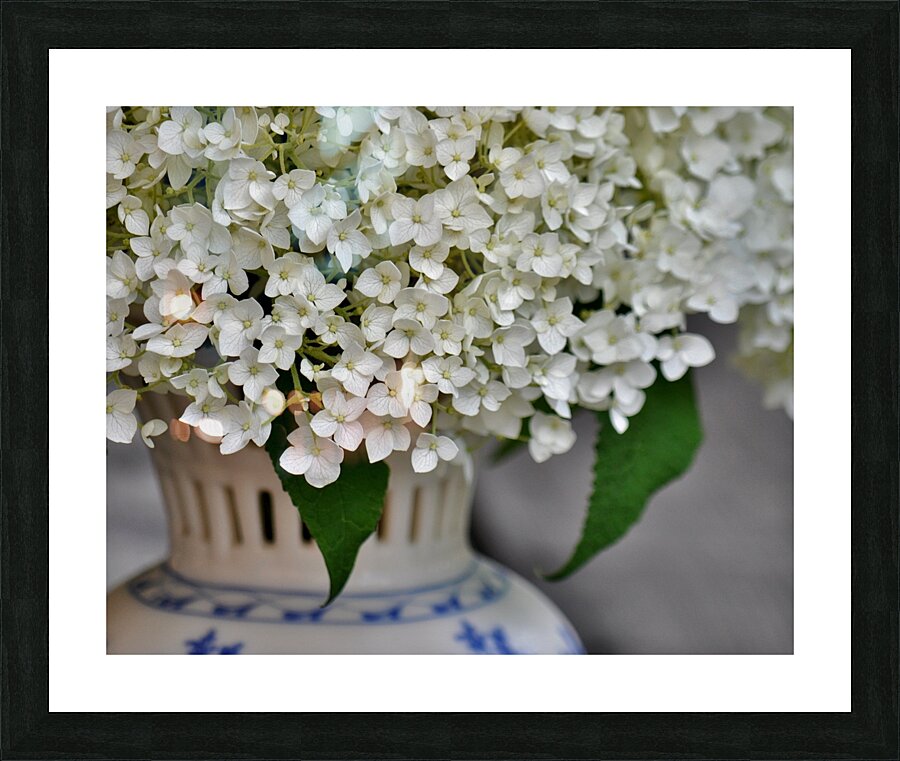 Annabelle Picture Frame print