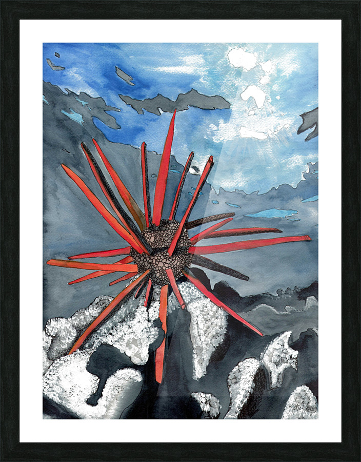 Underwater Space Picture Frame print