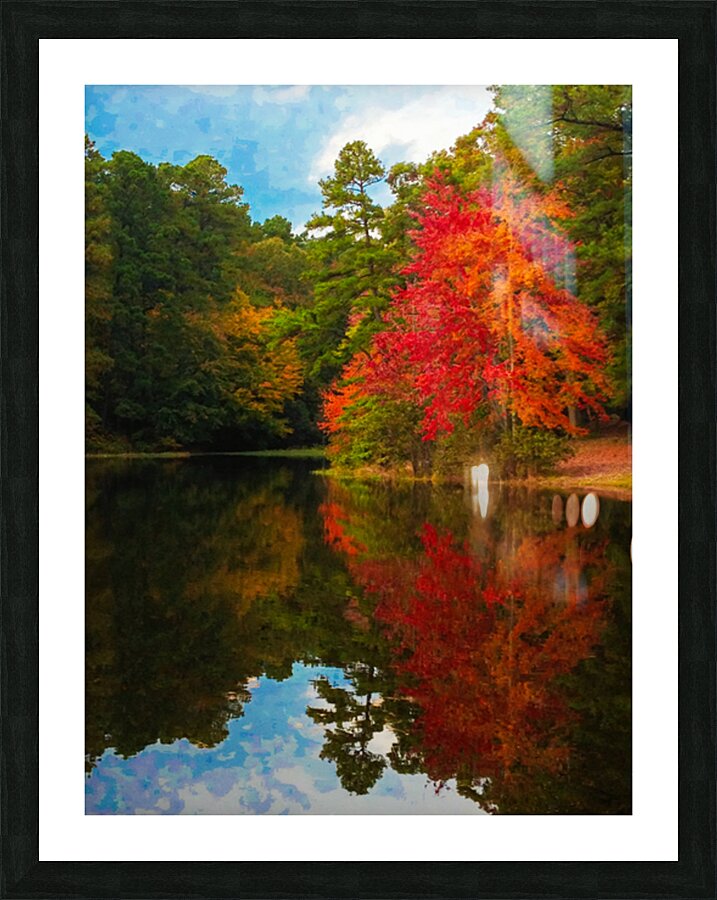 Fiery Maple Picture Frame print