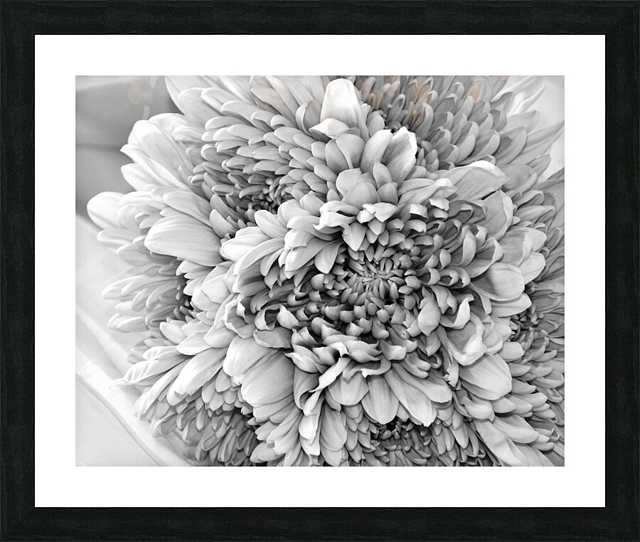 Celebration 2 Picture Frame print