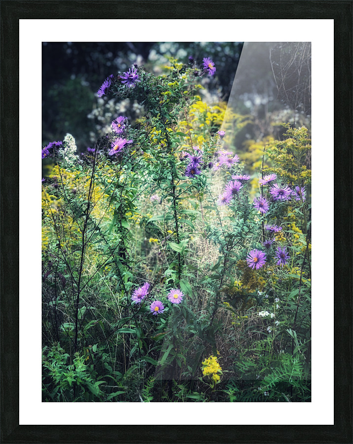 Bouquet Haze Picture Frame print