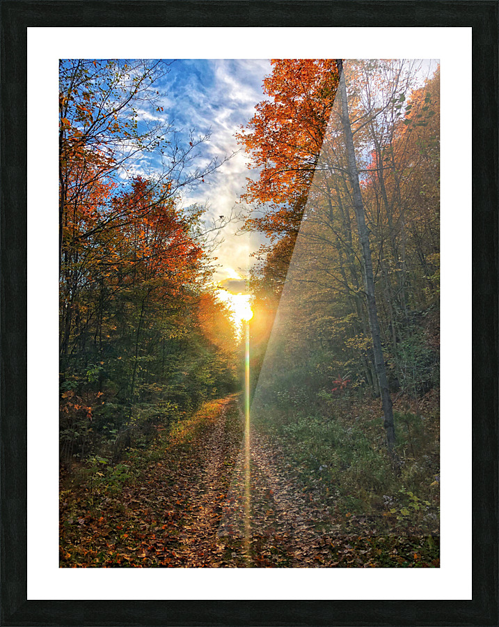 Fall Trail Picture Frame print