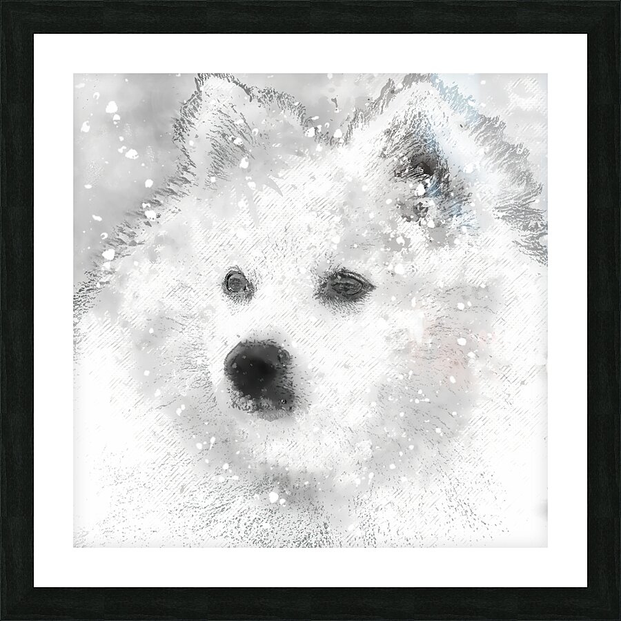 American Eskimo Snow Baby Picture Frame print