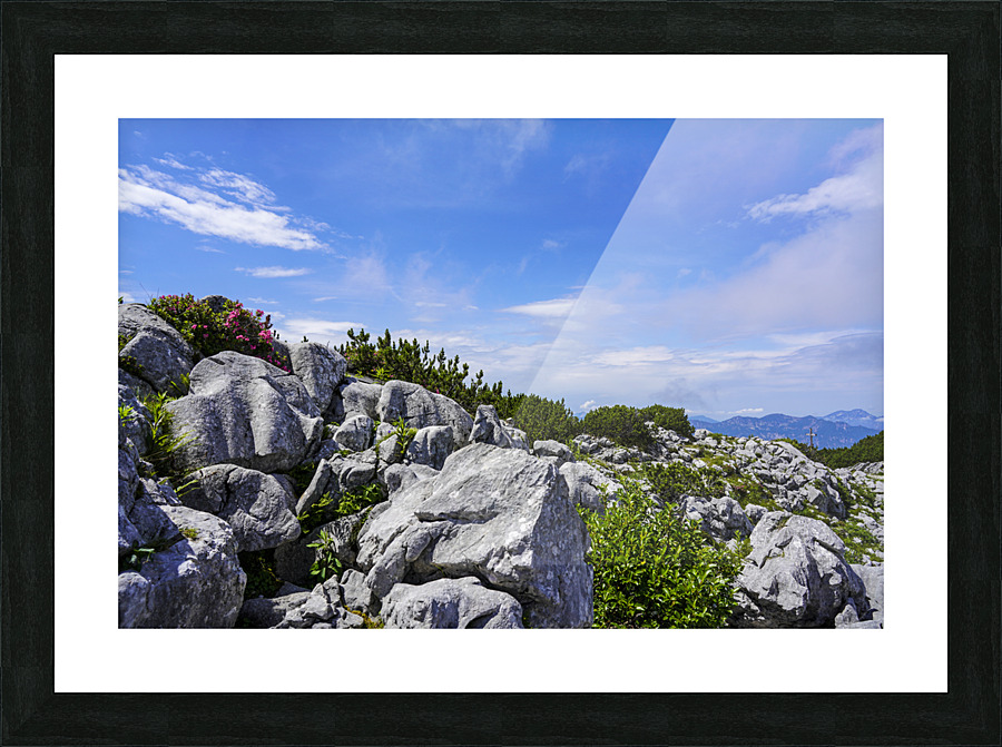  Fine Art print