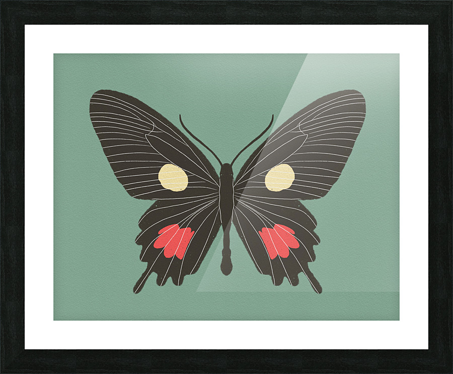 butterfly Picture Frame print