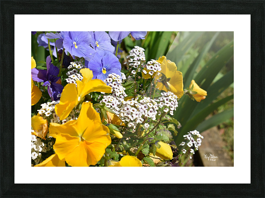  Fine Art print
