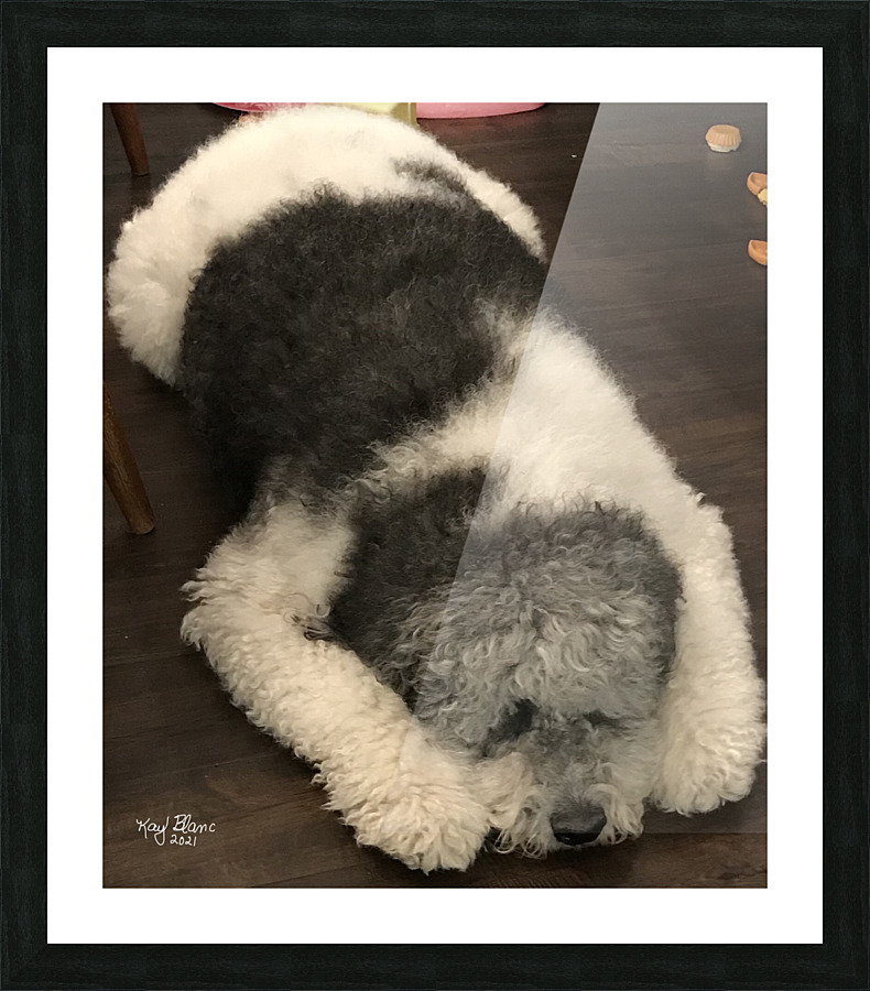  Fine Art print