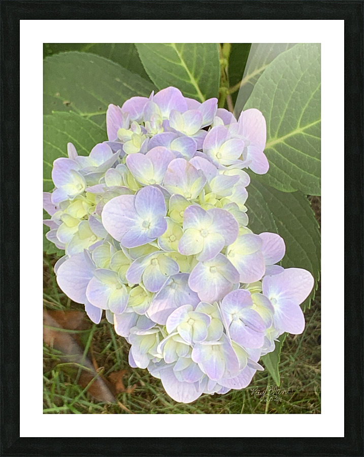  Fine Art print