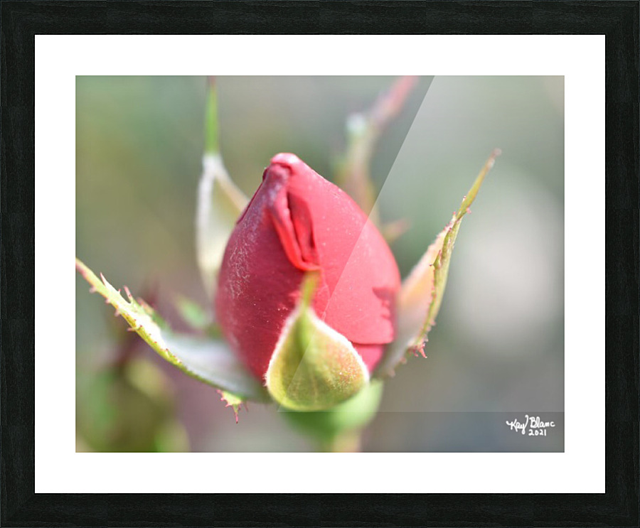  Fine Art print