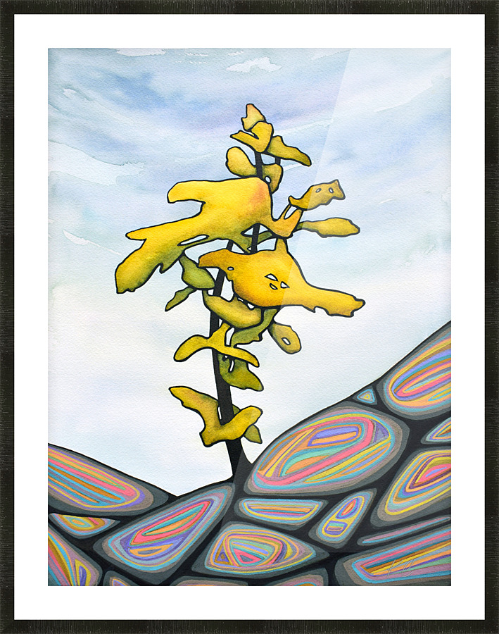 Rainbow Rocks 2  Framed Print Print