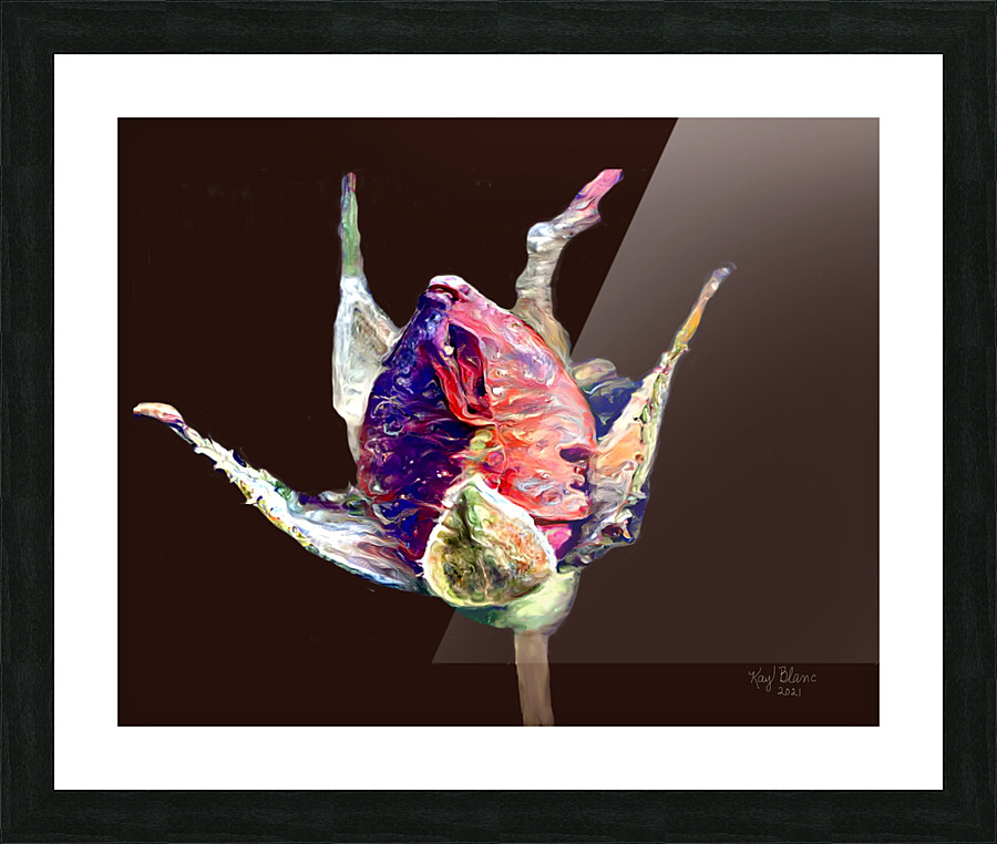  Fine Art print