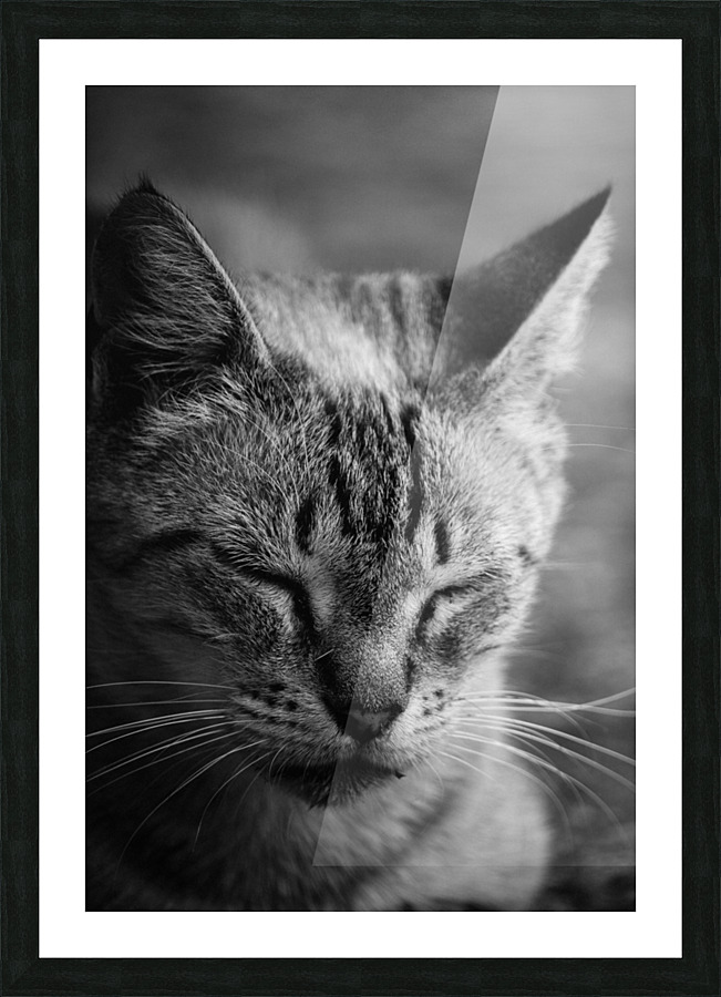 Close to the sunlight Picture Frame print