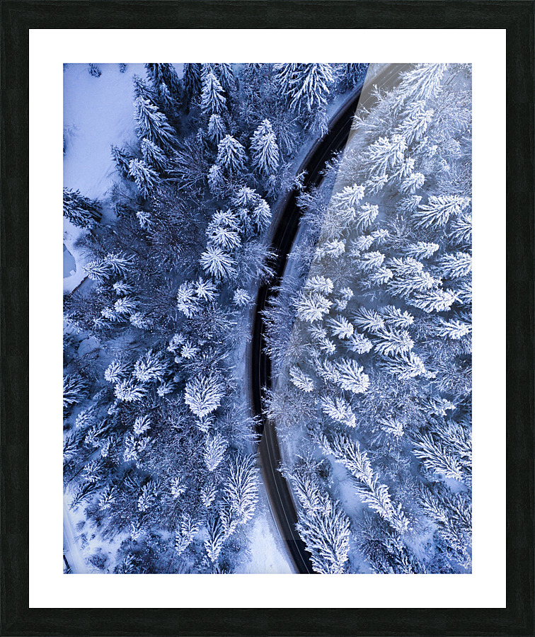 The road not taken  Framed Print Print
