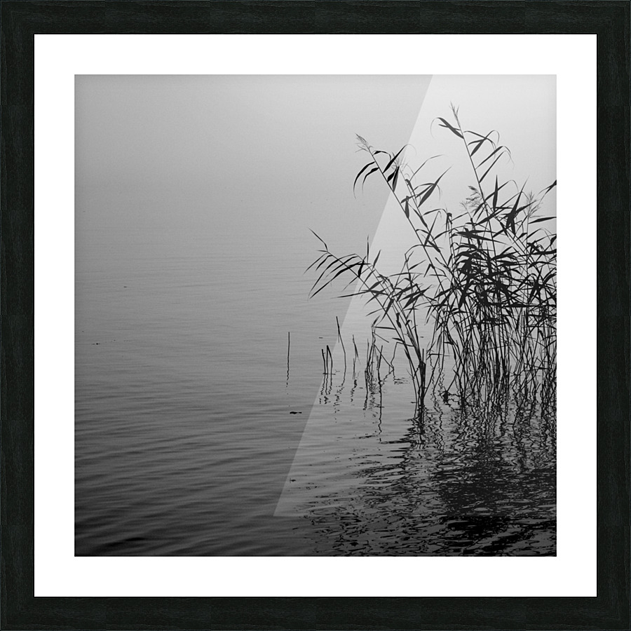 Mist over the lake 2021 Picture Frame print