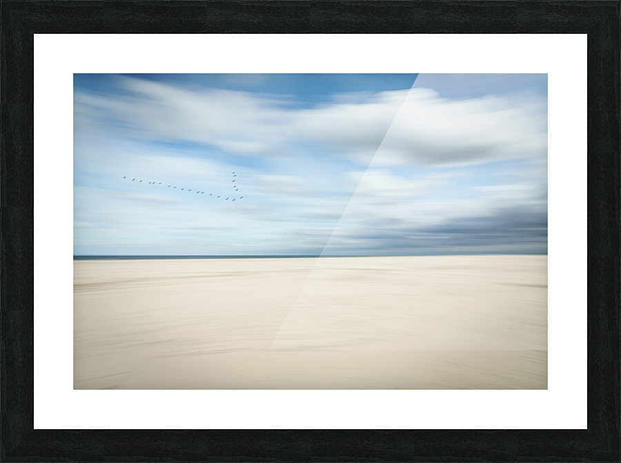 birds at the seaside Picture Frame print