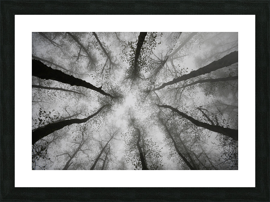 Crowd Picture Frame Printing