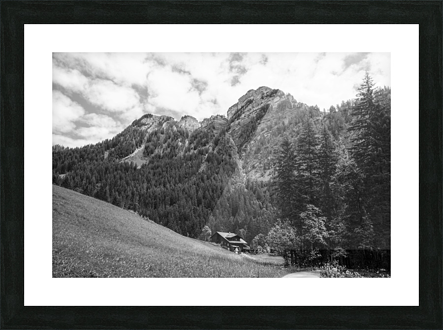  Fine Art print
