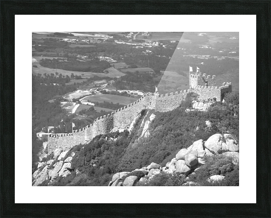  Fine Art print