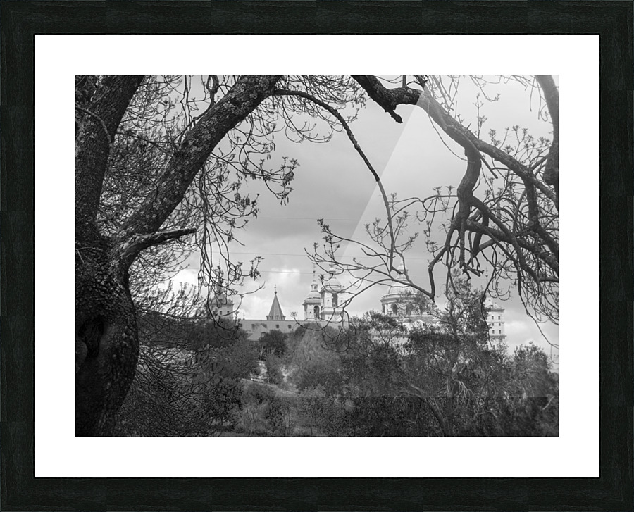  Fine Art print