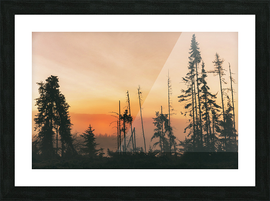 Nature sauvage Picture Frame print