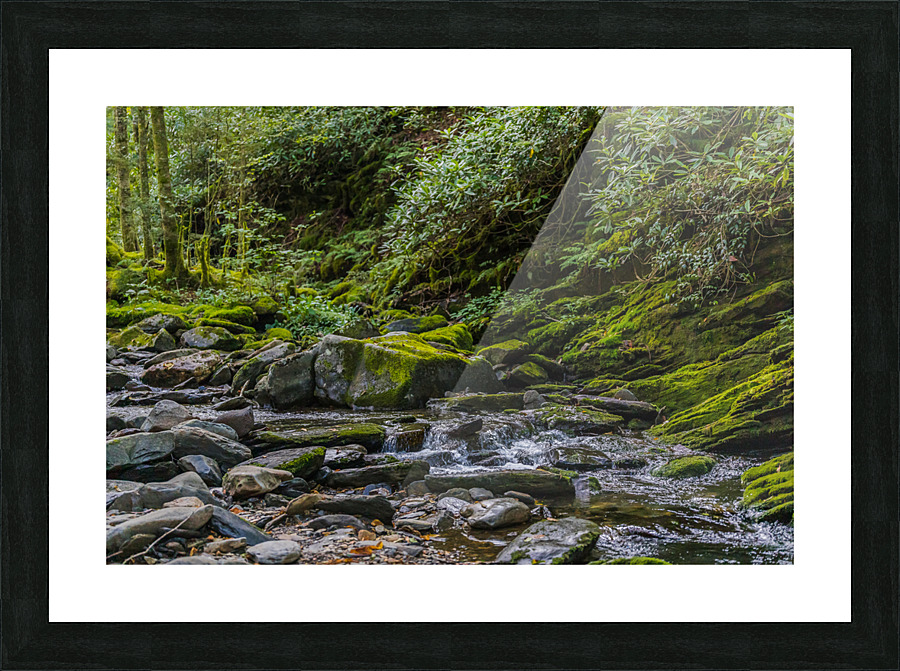 Alone With The Sounds of Running Water in Alum Cave Trail Picture Frame print