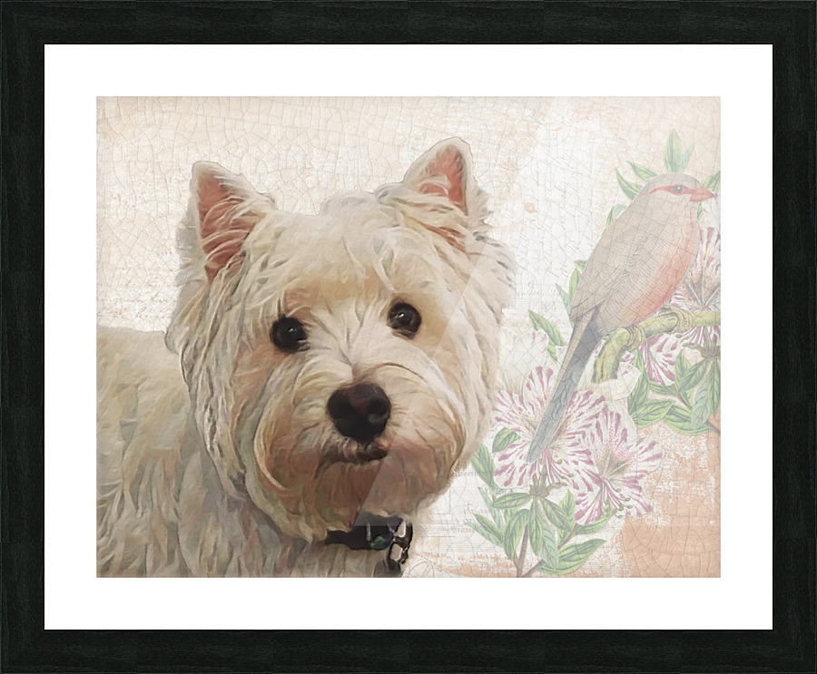 Westie Picture Frame print