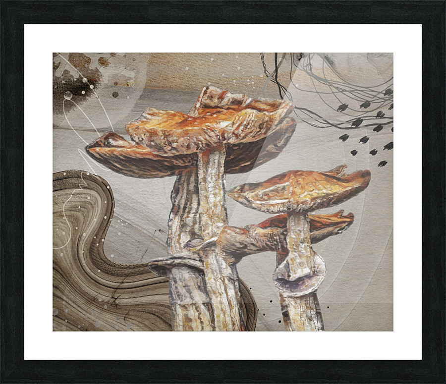 Magic Mushroom Picture Frame print