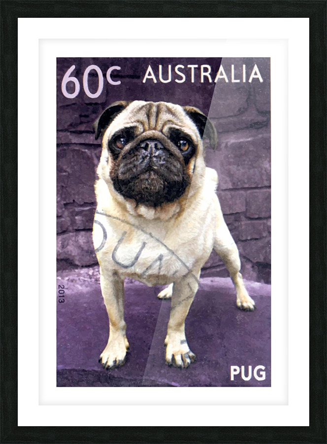 2013 AUSTRALIA Pug Dog Postage Stamp Picture Frame print