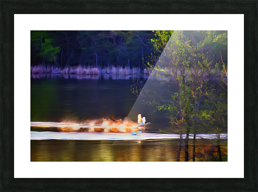 Cleared For Take Off Picture Frame print