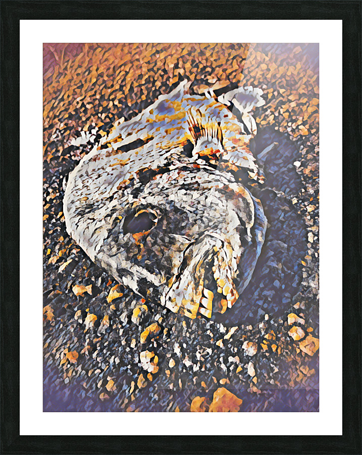 Thirsty In West Palm Beach Picture Frame print