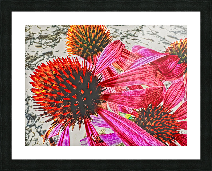 Gone Too Soon Picture Frame print