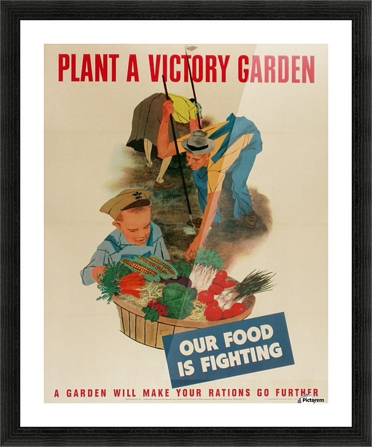 Plant a Victory Garden Picture Frame print