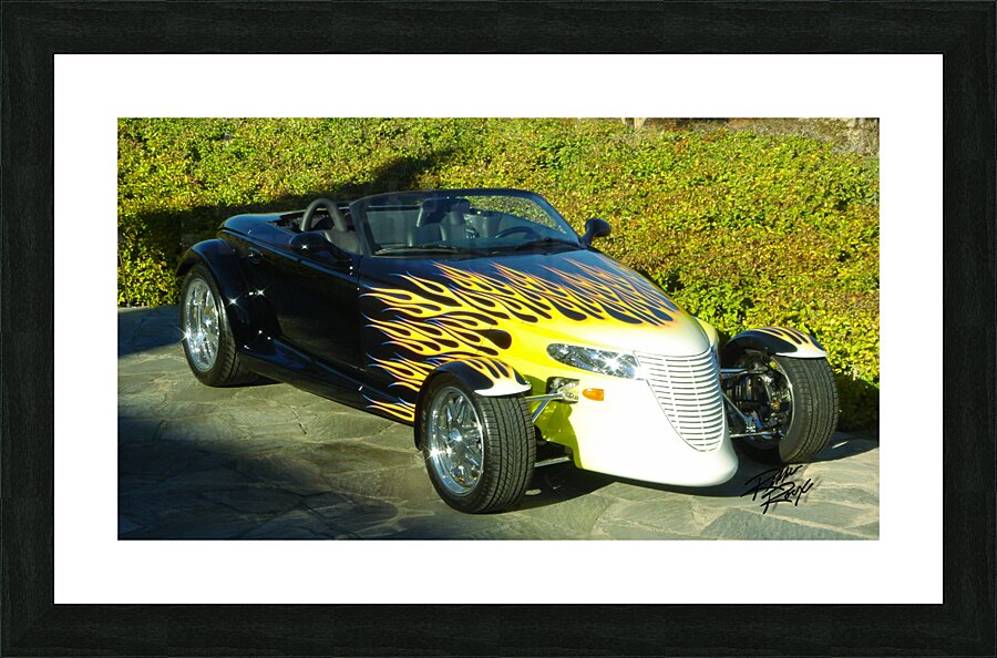 On The Prowl Picture Frame print