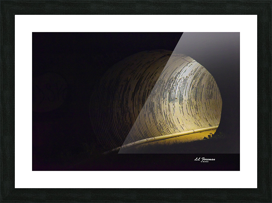 LLF 0546 Picture Frame print