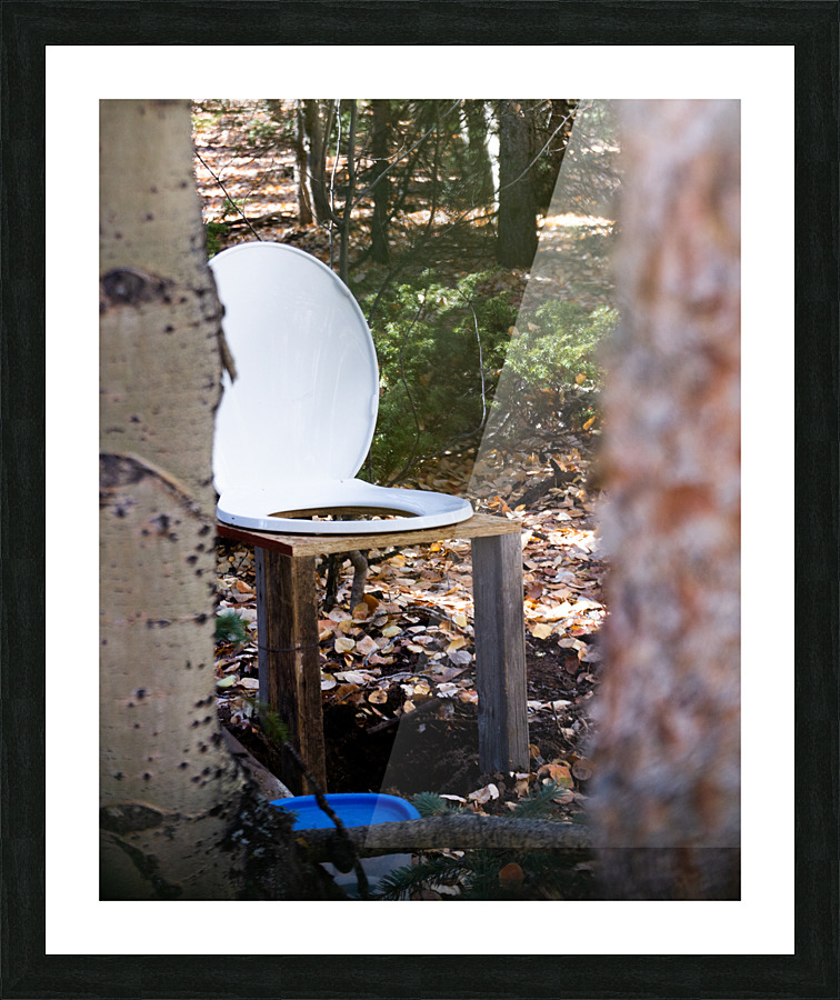 Rustic Toilet 2 Picture Frame print
