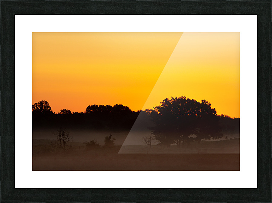 Grassland Sunrise 3 Picture Frame print