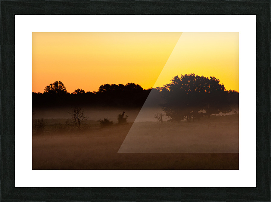 Grassland Sunrise 1 Picture Frame print