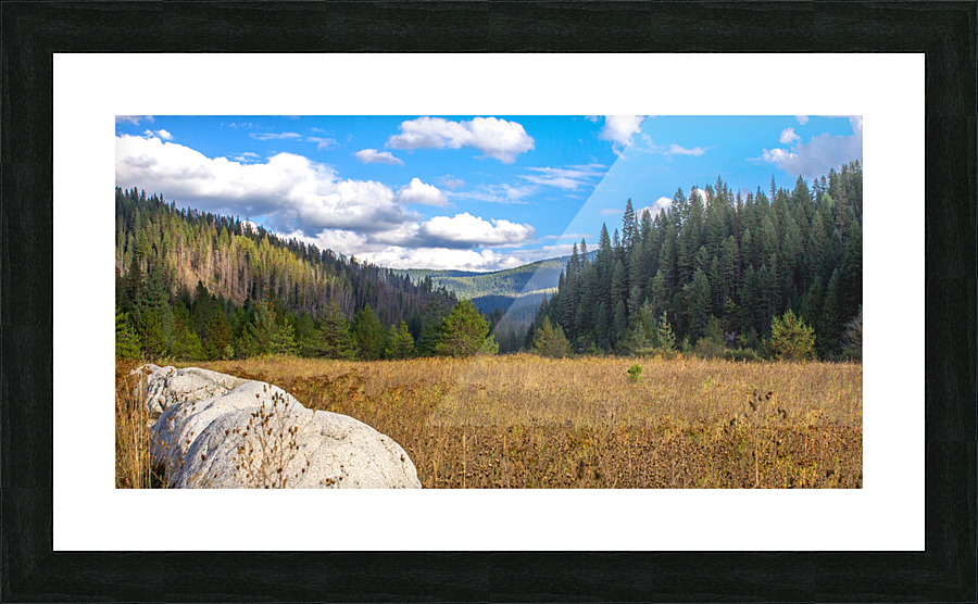 Sunny Park Picture Frame print
