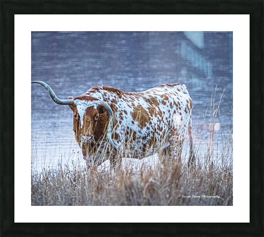 Wrong Way  Picture Frame print