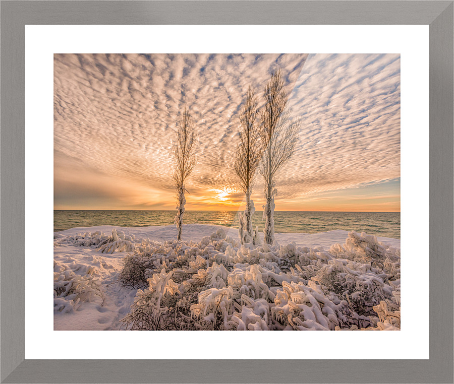 Betsie in Gold Picture Frame print