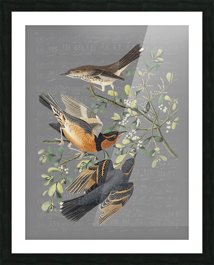 Bringing the Music 2 Picture Frame print