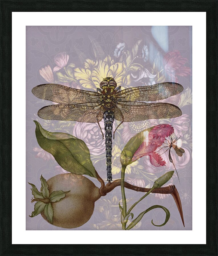 Bouquet and Dragonly Picture Frame print