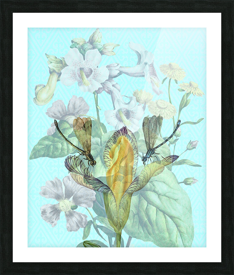 Dragonfly Duet Picture Frame print