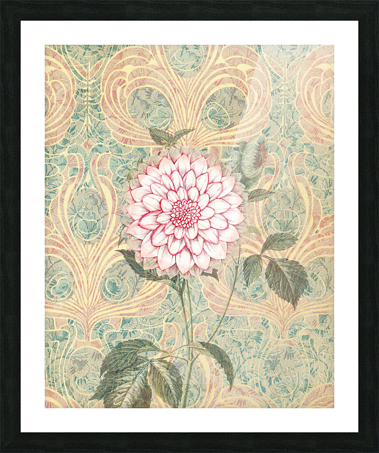Pink Dahlia Picture Frame print