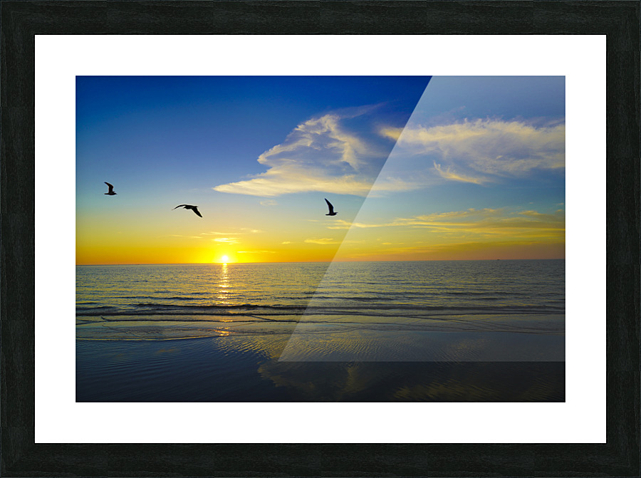  Fine Art print