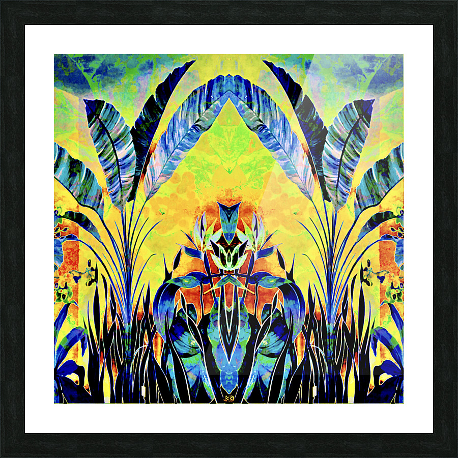 BirdsOfParadise  Picture Frame print