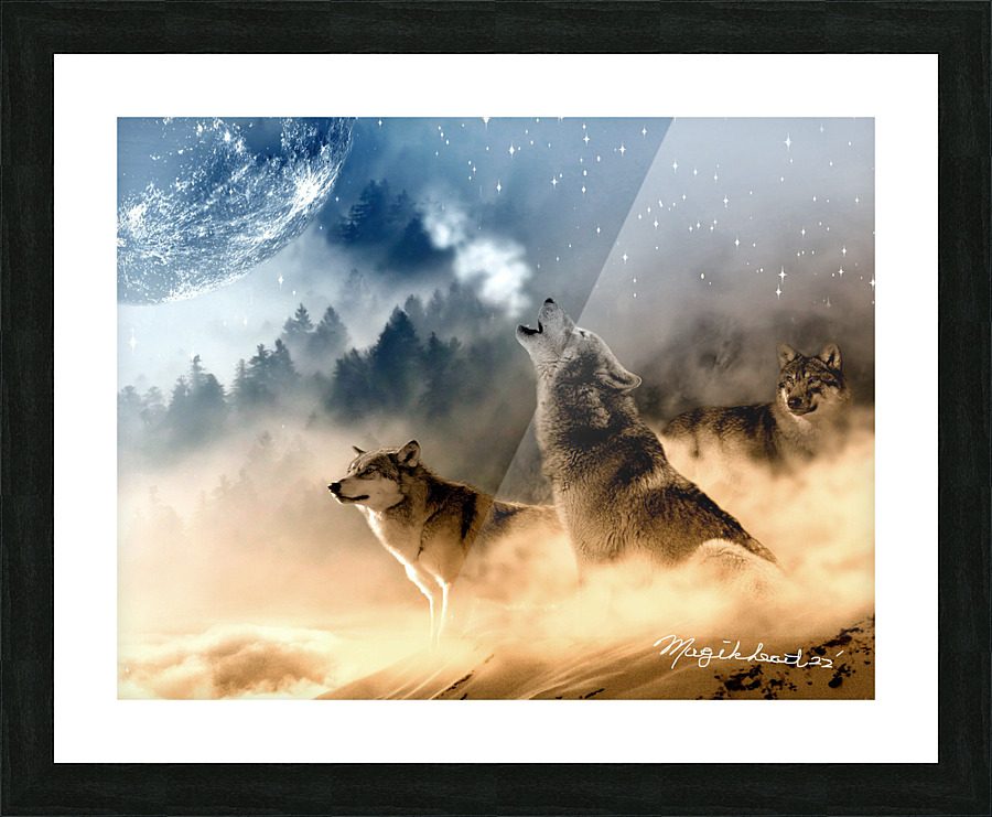 Howling Wolves Picture Frame print