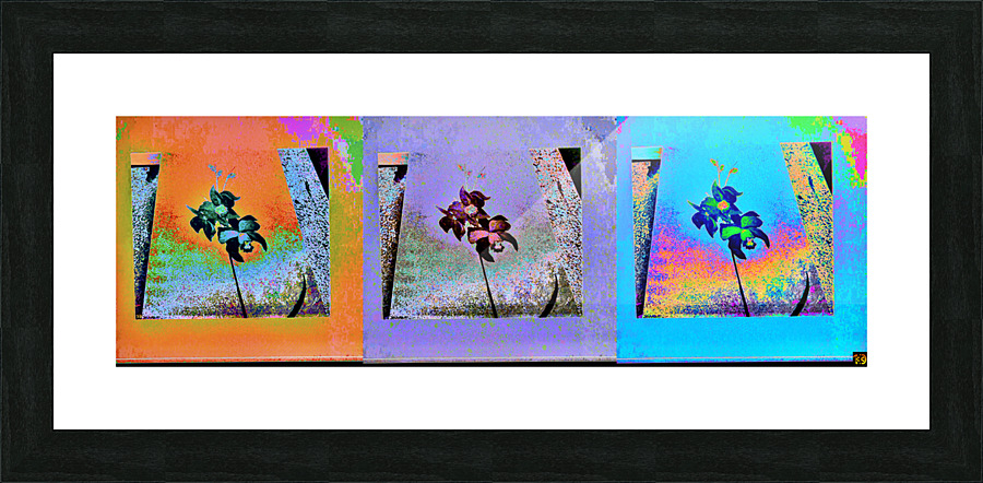 3 Orchids Picture Frame print
