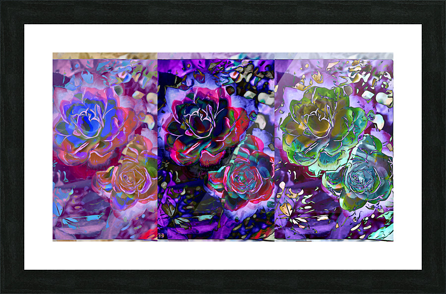 A ROSE IS A ROSE copy Picture Frame print